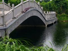-映月湖公园