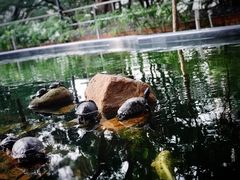 -香港大学