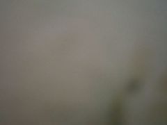 -魏家凉皮(协和店)