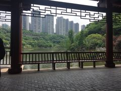-重庆彩云湖湿地公园