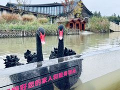 -东平国家森林公园