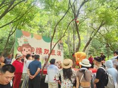 -帽儿山风景区