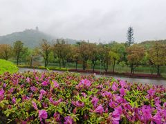 -南通鹏欣花园国宾酒店