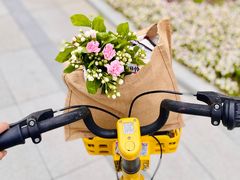 -双季花艺园艺市场(浦东店)