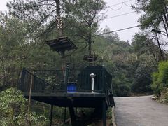 -梦幻奥陶纪景区