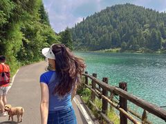 -武陵山森林公园