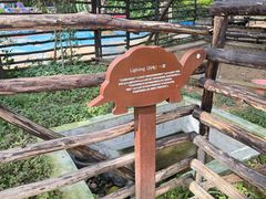 -三亚海棠湾喜来登度假酒店