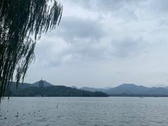 -杭州西湖柳莺里酒店
