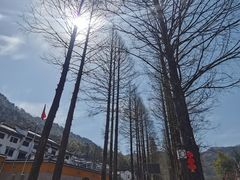 -九华山风景区