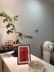 -Your Yoga Pilates·瑜伽普拉提习练室