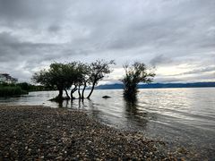 -洱海月湿地公园