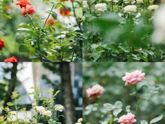 -人民公园(罗湖区)