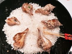 -新兴·金羊座·粤菜点心(乐峰店)