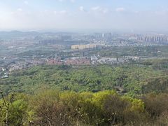 -紫金山山顶公园