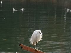 -学成饭店(北辰店)