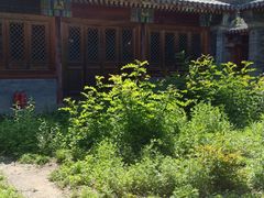 -阳台山自然风景区