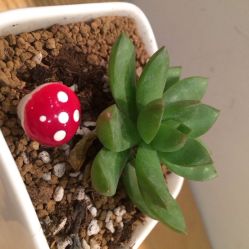 iphone_upload_pic-Y+瑜伽会所