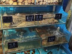-北戴河庆山饭店·海鲜砂锅粥(北戴河黑石路店)