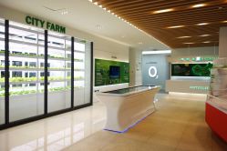 -安利上海体验馆