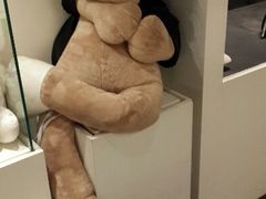 android_upload_pic-济州岛泰迪熊博物馆