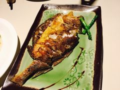 -T館·花园艺术餐厅