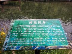 -丽江玉水寨