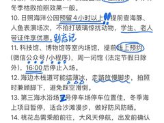 -日照灯塔风景区