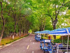 -绍兴镜湖国家城市湿地公园