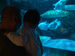 -太平洋海底世界