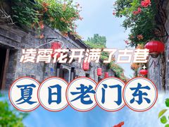 -老门东历史文化街区
