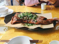 -杨正宗烤全羊(北二环店)