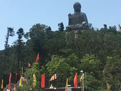 -宝莲禅寺