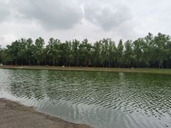 -森林公园(尖草坪区)