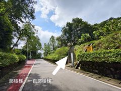 -火炉山森林公园