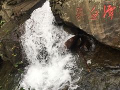 -众神白水涧景区