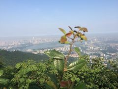 -紫金山山顶公园