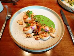 -OTIUM • 柴屿麦(亮马桥店)