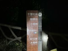 -梧桐山风景名胜区