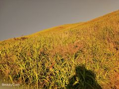 -萍乡武功山风景名胜区