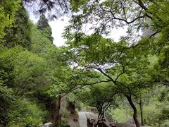 -狼牙山风景区