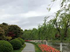 -上海鲜花港