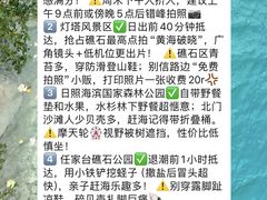 -日照海滨国家森林公园