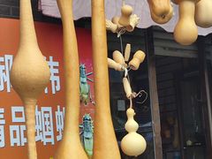 -中环花鸟鱼虫市场
