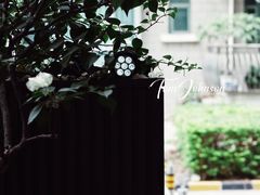 -绿房子方寸咖啡(星海名城店)