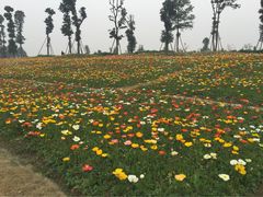 iphone_upload_pic-秀丽东方