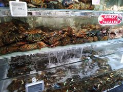 -超级物种(省府店)