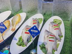 -华膳楼·安徽地标美食·中华餐饮名店(文化公园店)