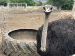 -卡塞拉自然公园