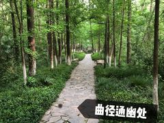 -赭山公园