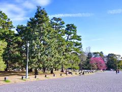 -京都御所